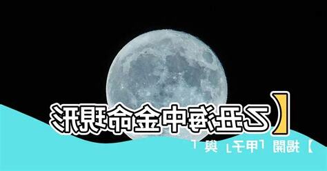海中金 性格